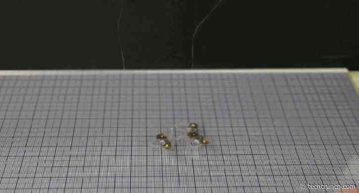 This tiny, soft robo-bug scoots with smarts and survives swats