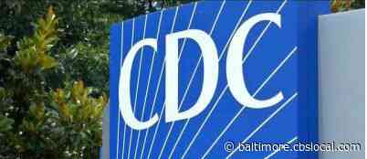 30 People Sickened By Infection Linked To Contact With Petland Puppies, CDC Says