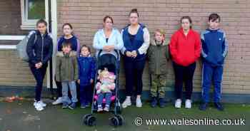 A single mum of 10 says she's never used a condom