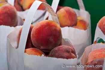 Man starts petition to bring peaches back to Peachland