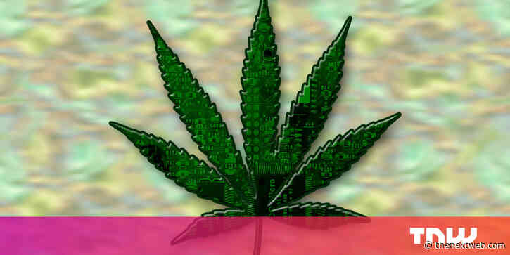 Elon Musk becomes the International Space Station’s weed guy in March