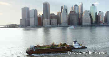 Mary Mattingly Is Named Brooklyn Public Library’s Artist in Residence