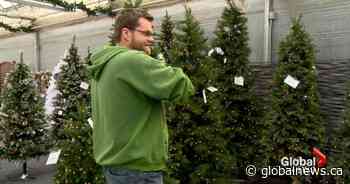 Your Christmas tree may put you at risk: Lethbridge fire officials