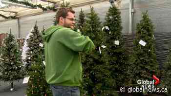 Your Christmas tree may put you at risk: Lethbridge fire department