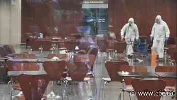 Alleged feces thrower granted bail in Toronto