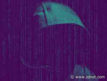 Member of 'The Dark Overlord' hacking group extradited to the US