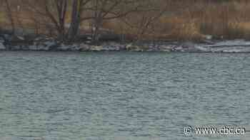 Toronto under extreme cold weather alert as temperature drops