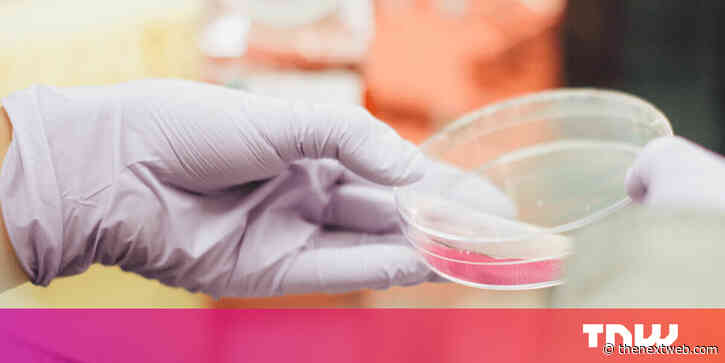 Israeli scientists discover how to trigger pancreatic cancer cells to self-destruct