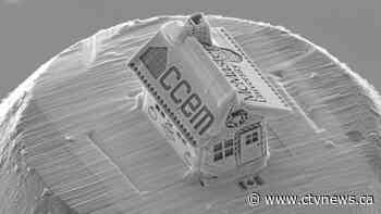 Canadian researcher builds world's smallest 'gingerbread house'