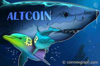 Bitcoin Wealth Inequality Drops in 2019 Unlike Ether, Litecoin: Report