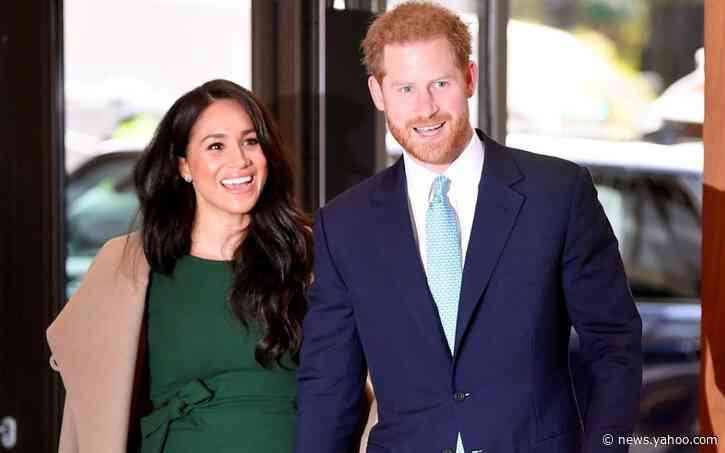 Harry and Meghan's Sussex title was 'unfairly acquired' and should be ignored, Brighton and Hove council to consider