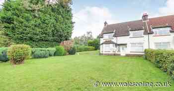 The ordinary semi-detached home with a surprise in the garden