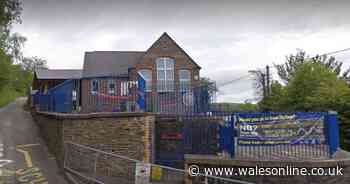 An entire Swansea school complete with playground is going up for auction