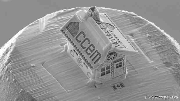Canadian researcher builds world's smallest 'gingerbread house'
