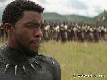 Marvel's Wakanda pops up on USDA website as US free-trade partner     - CNET