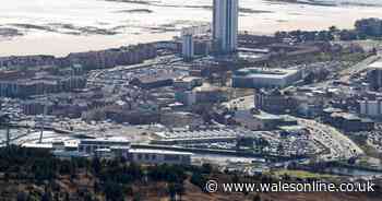 This is who people voted as the icon of Swansea in its 50th year as a city