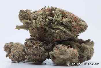 Meeting Planned For Garden River Cannabis Dispensary