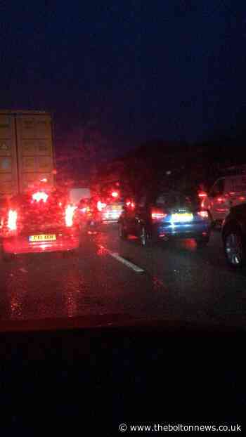 Animals on M61 between Chorley and Bolton stop traffic in both directions