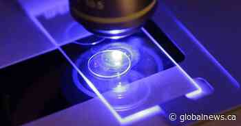 Number of flu-related deaths in Alberta this season jumps to 6: AHS