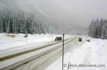 Up to 60 cm of snow expected on southern B.C. highways