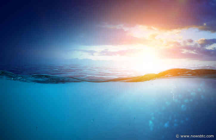 Why Bitcoin’s 2020 Halving Will Catalyze “FOMO” and “Large Bull Run”