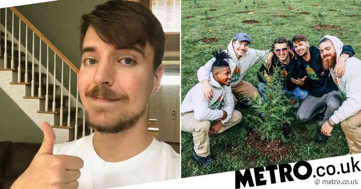 MrBeast’s TeamTrees smashes $20 million target as YouTuber urges fans to ‘keep going’