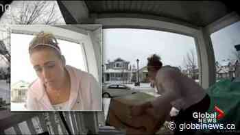 Charges laid after video captured parcel being swiped from Edmonton porch