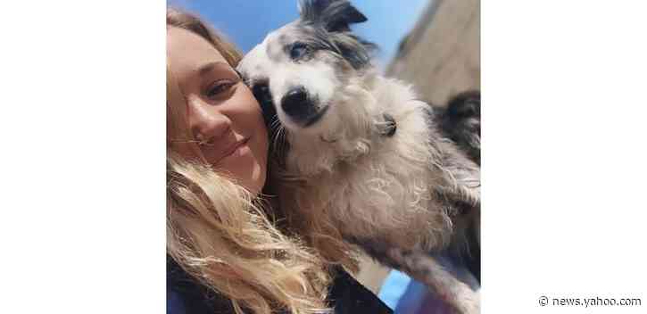 Woman offers $7K reward, hires plane in search of stolen dog