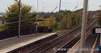 MP calls for TransPennine Express to be stripped of franchise over 'woeful' Chester-le-Street service