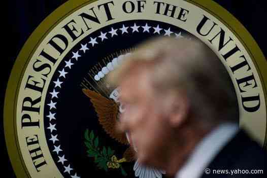 Trump's lawyers could argue he has not been impeached despite historic vote