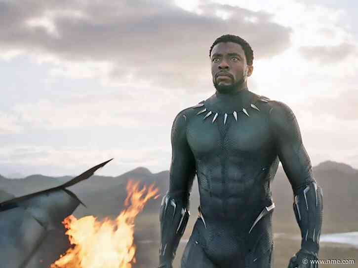 ‘Black Panther”s fictional country Wakanda accidentally listed as trade partner of United States