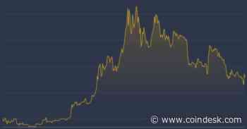 Bitcoin Price Set to Outshine Gold and Stocks By Big Margin in 2019