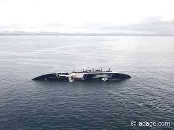 Shrinking budgets, a project economy and work-for-free demands created a perfect storm for shops in 2019