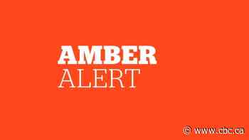 Amber Alert issued by RCMP for 14-month-old boy taken near Hinton, Alta.