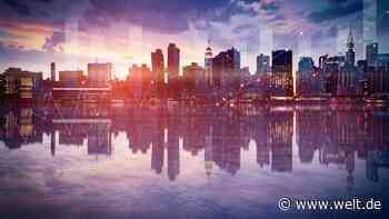 Streit um den „Zombie-Effekt“