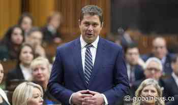 MP Matt Jeneroux on future of Conservative party post-Andrew Scheer