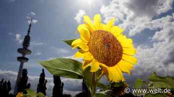 Noch sind Grüne und Wirtschaft keine besten Freunde