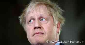 Boris Johnson criticised for being on phone in House of Commons