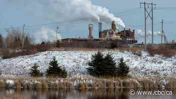 Major N.S. mill set to close after premier refuses extension