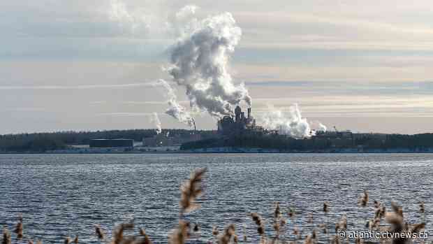 Nova Scotia rejects pulp mill's plea for more time, offers $50M for workers