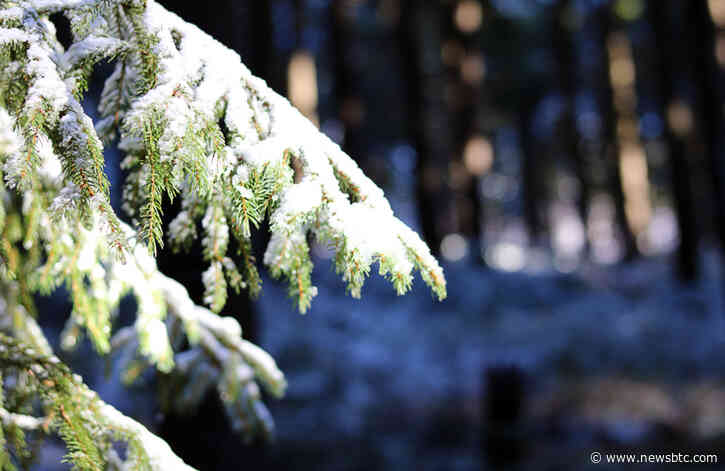 Bitcoin Exchange Outflow Spikes to $606M in 1 Day: Is Accumulation Starting?