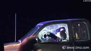 Greatest Police Dog Ever Takes Down Perp With Insane LeBron-esque Superjump