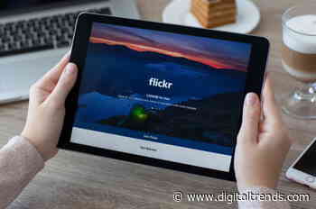 Flickr cash shortage leads to plea for more paying members