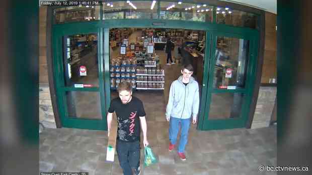 New documents shed light on McLeod, Schmegelsky manhunt and 3 northern B.C. deaths