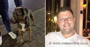 Man killed his own dog in a bloodcurdling attack screaming 'this f***ing dog is going to die'