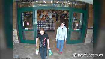 New documents shed light on McLeod, Schmegelsky manhunt and 3 northern B.C. deaths