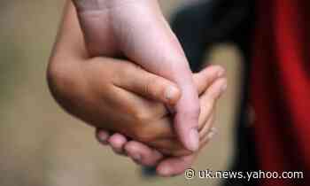 Family law cases and the adoption process