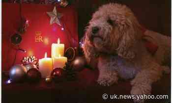 MPs' Christmas cards spread cheer after gruelling year