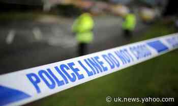 'Narcissist' teenager jailed for 16 years after stabbing ex-girlfriend