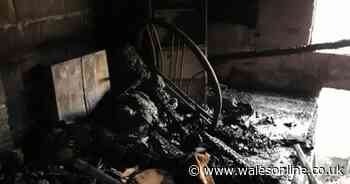 Woman loses £35,000 worth of household items after garage was burnt down while her house was being renovated